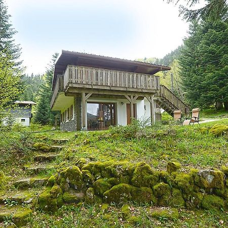 Le Schwarzwald - A Proximite Des Stations De Ski La Bresse Dış mekan fotoğraf